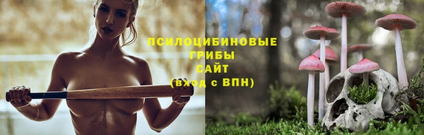 дмт Арсеньев