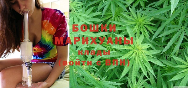 дмт Арсеньев