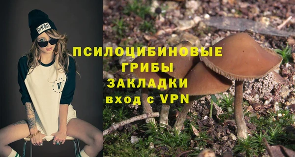дмт Арсеньев
