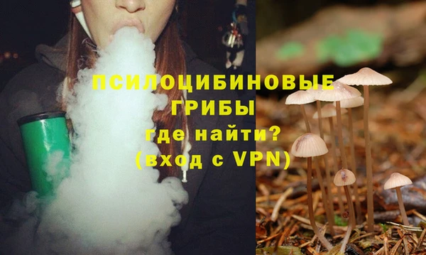 соль ск Армянск